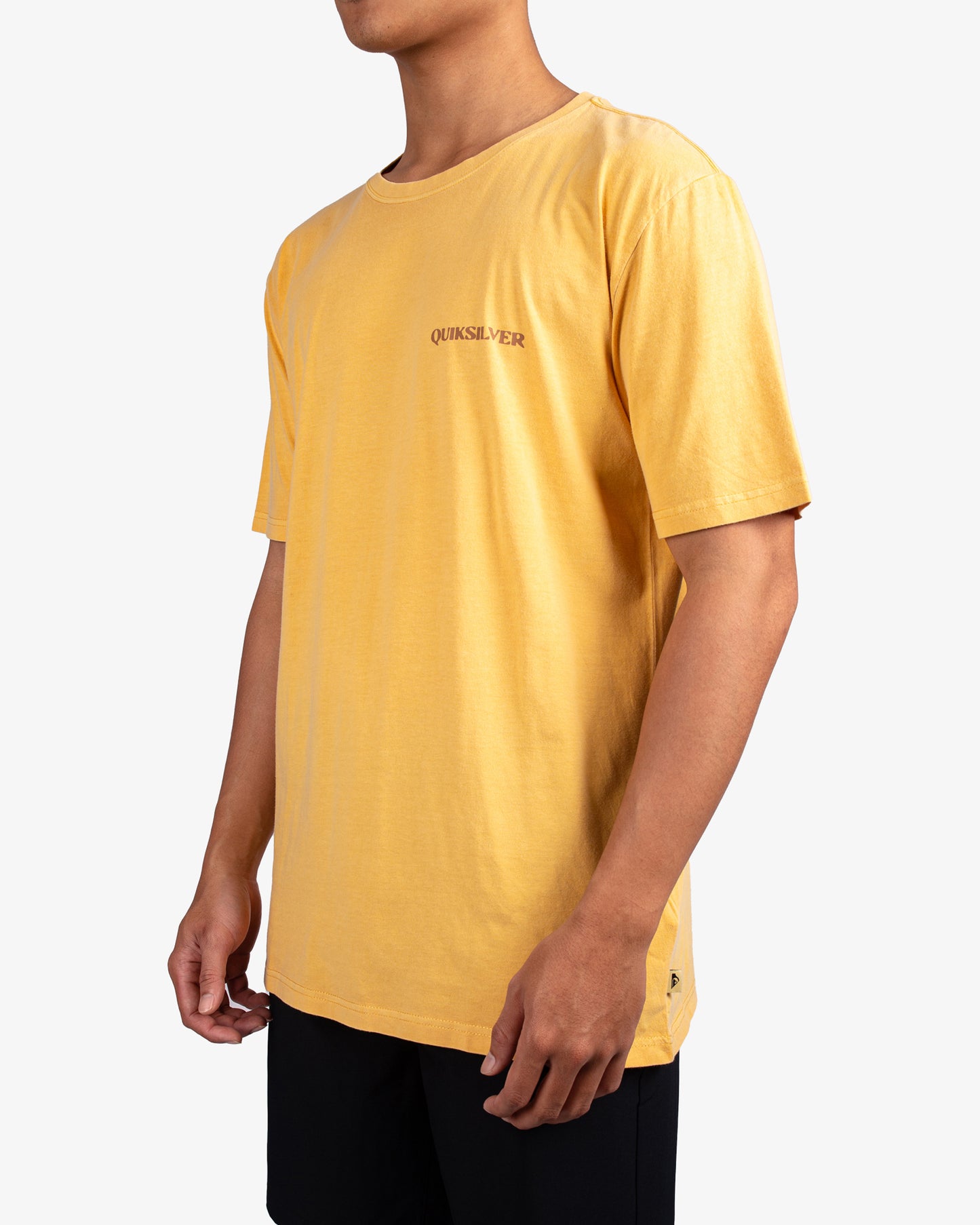 Mens Ocean Meets Desert T-Shirt - Quiksilver Singapore 