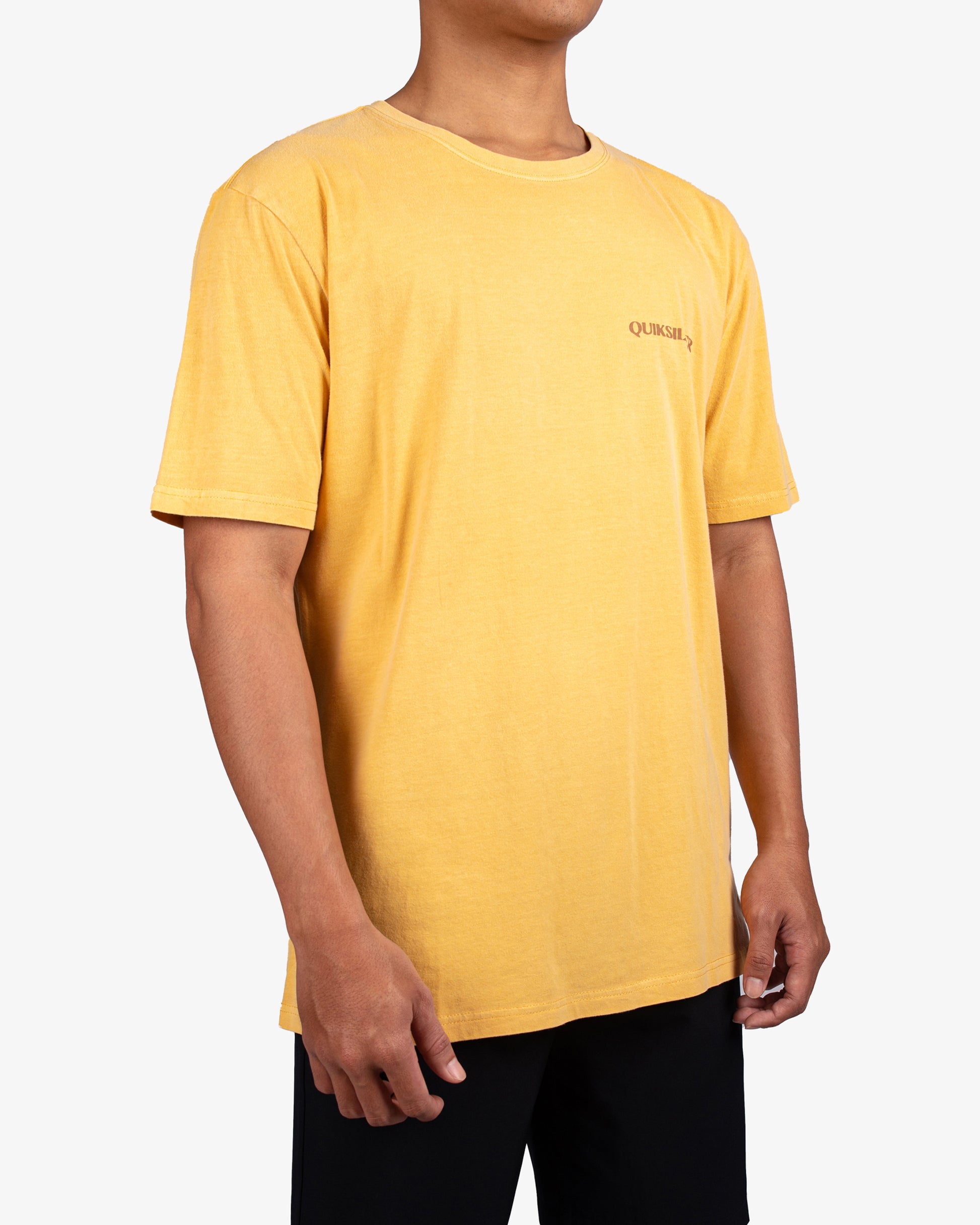 Mens Ocean Meets Desert T-Shirt - Quiksilver Singapore 