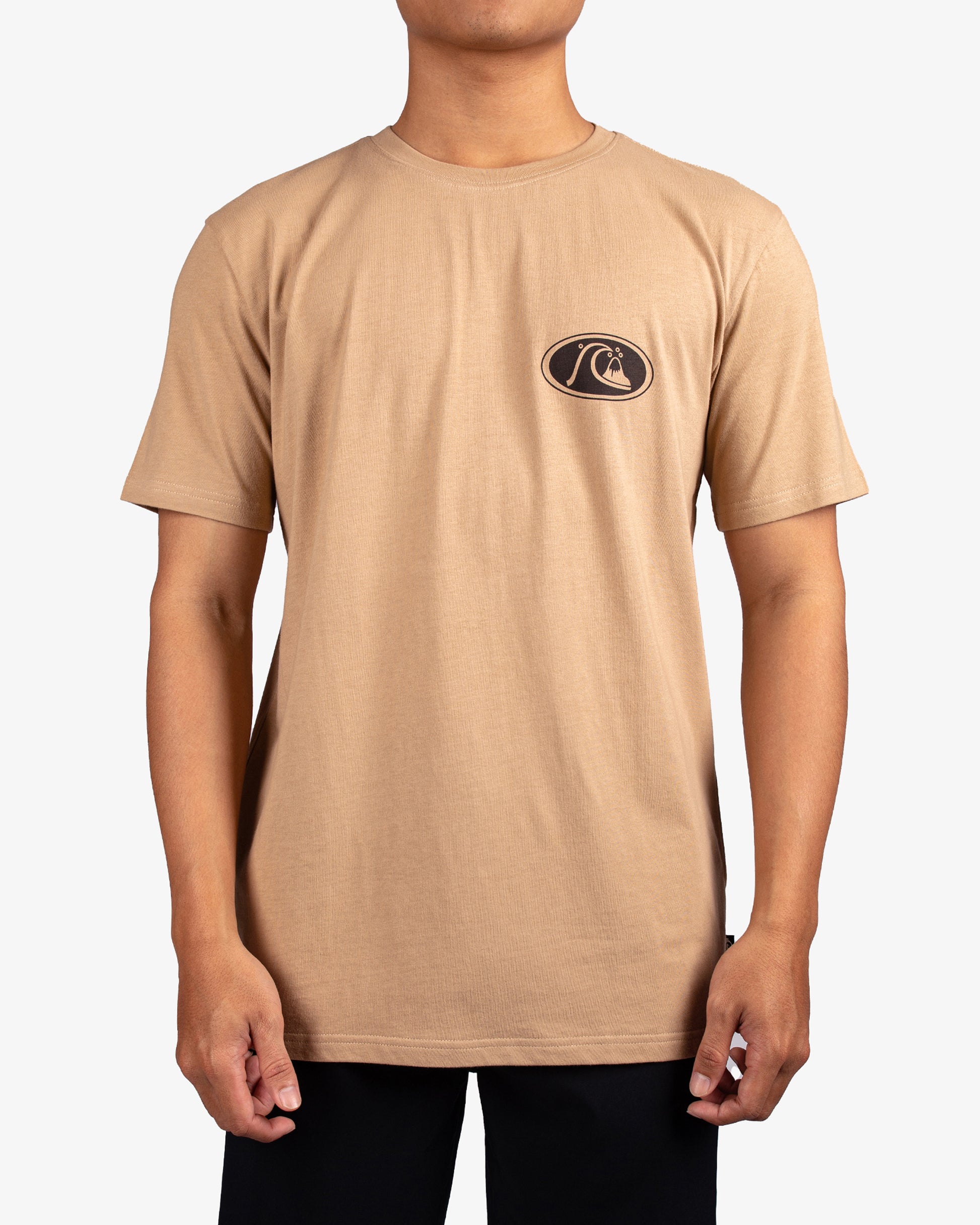 Mens Inse Section T-Shirt - Quiksilver Singapore 