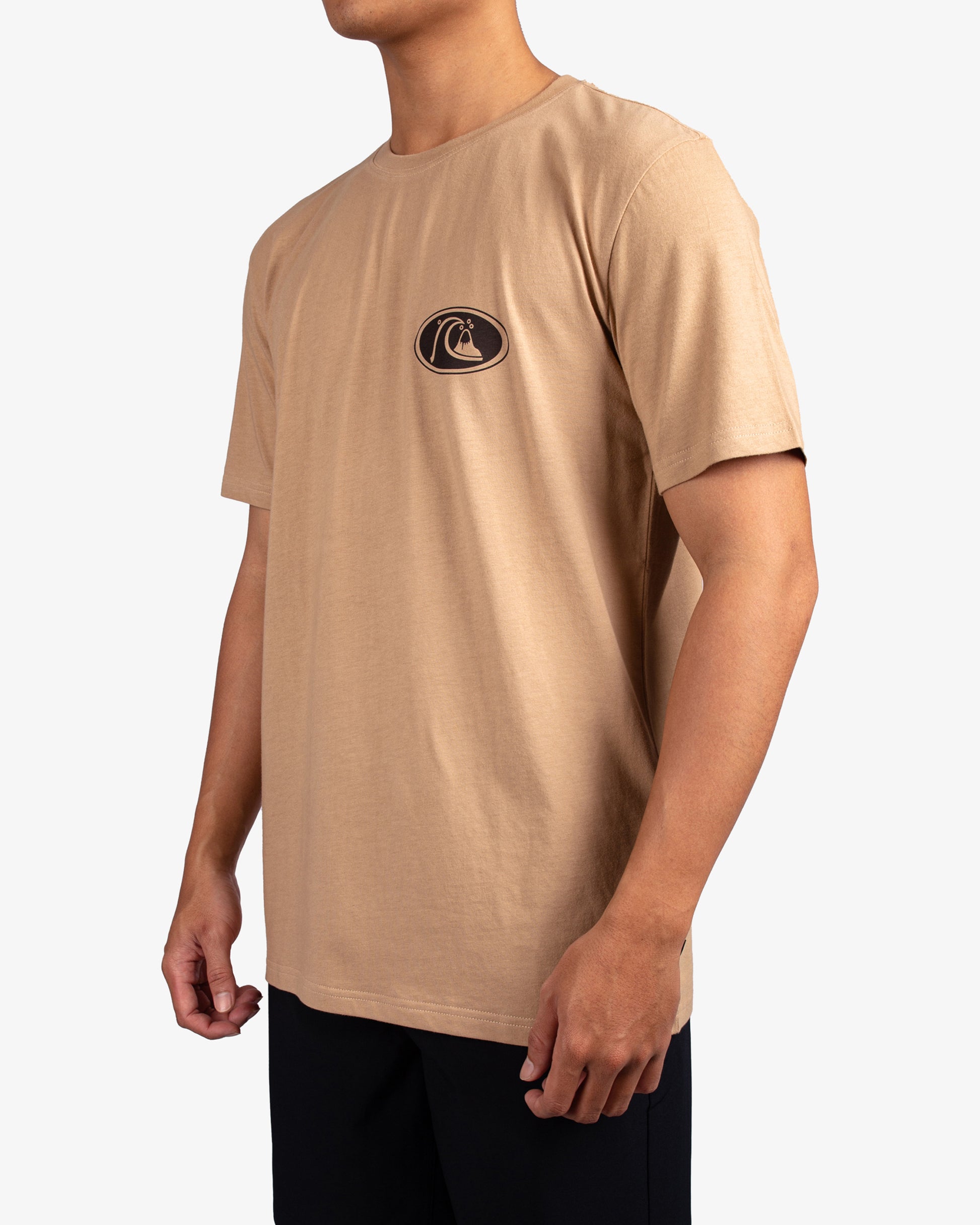 Mens Inse Section T-Shirt - Quiksilver Singapore 