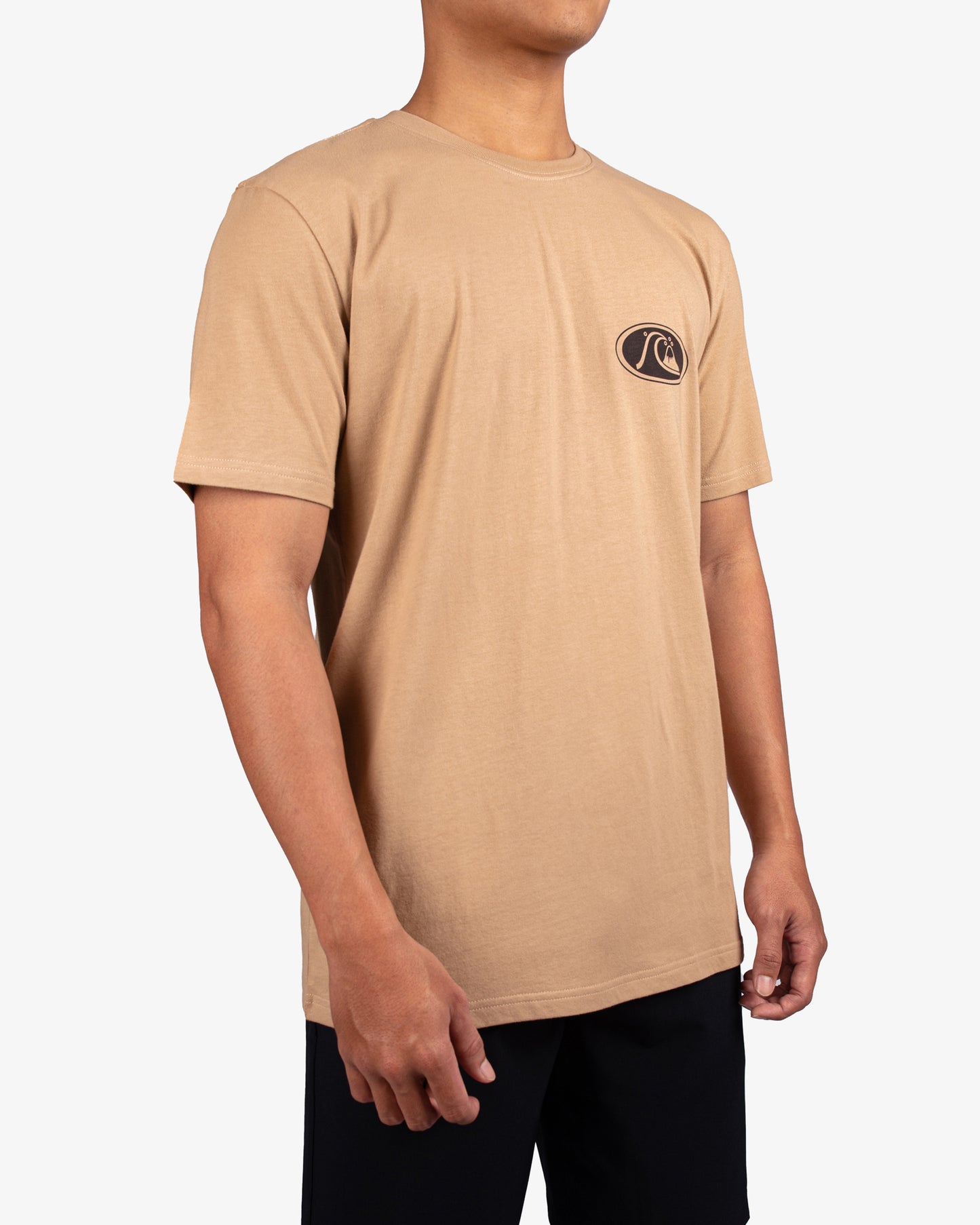 Mens Inse Section T-Shirt - Quiksilver Singapore 