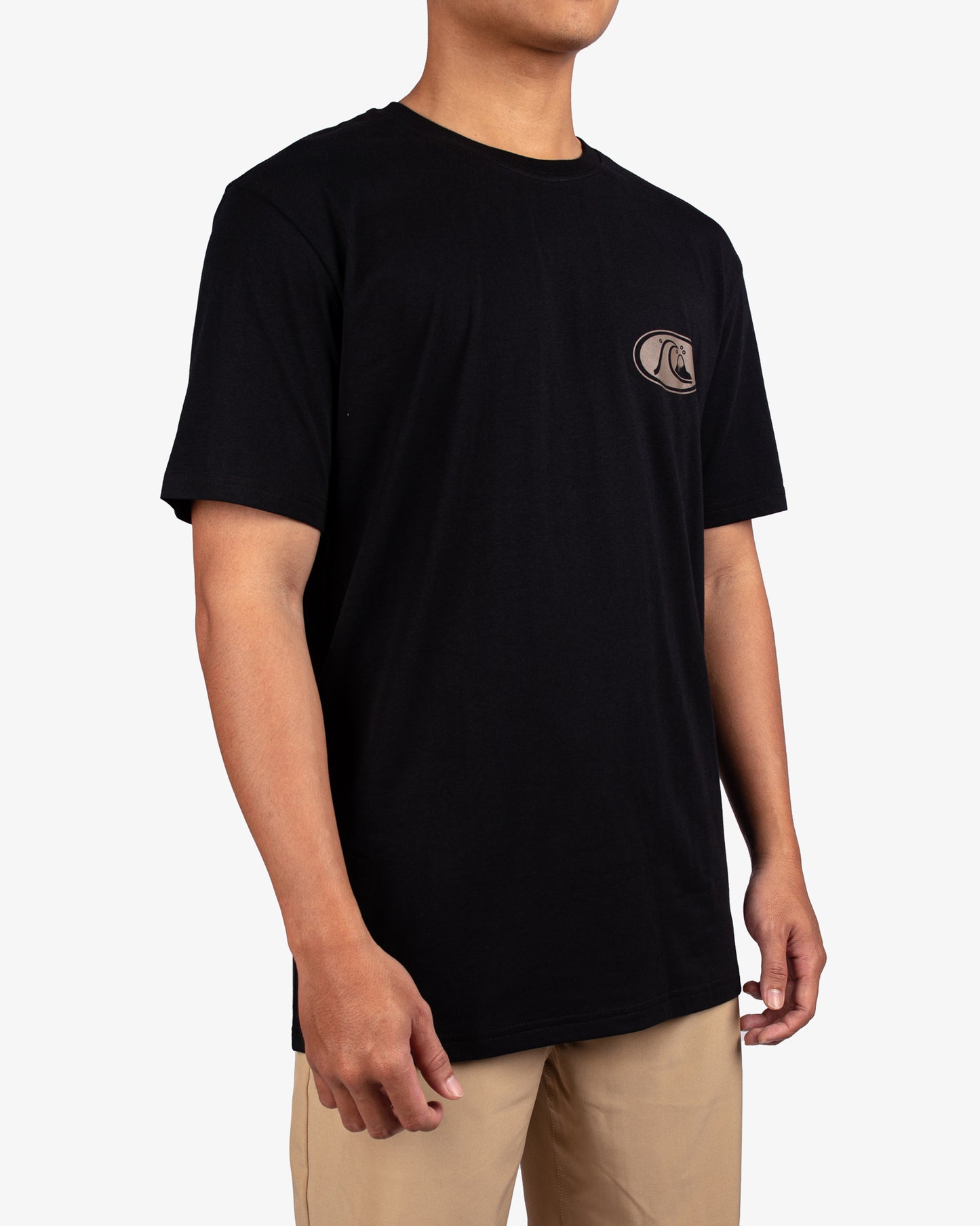 Mens Inse Section T-Shirt - Quiksilver Singapore 