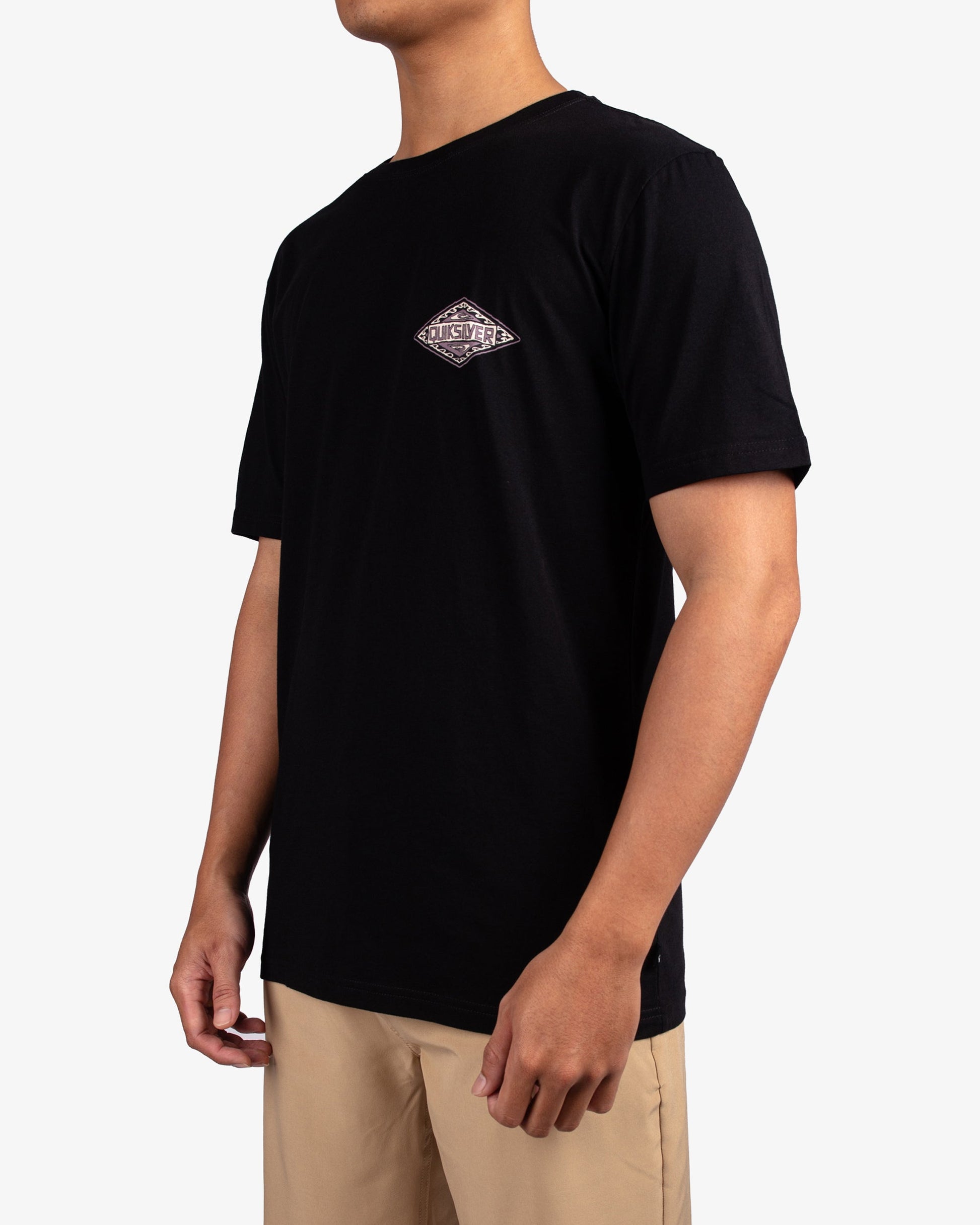 Mens Beyond The Waves T-Shirt - Quiksilver Singapore 