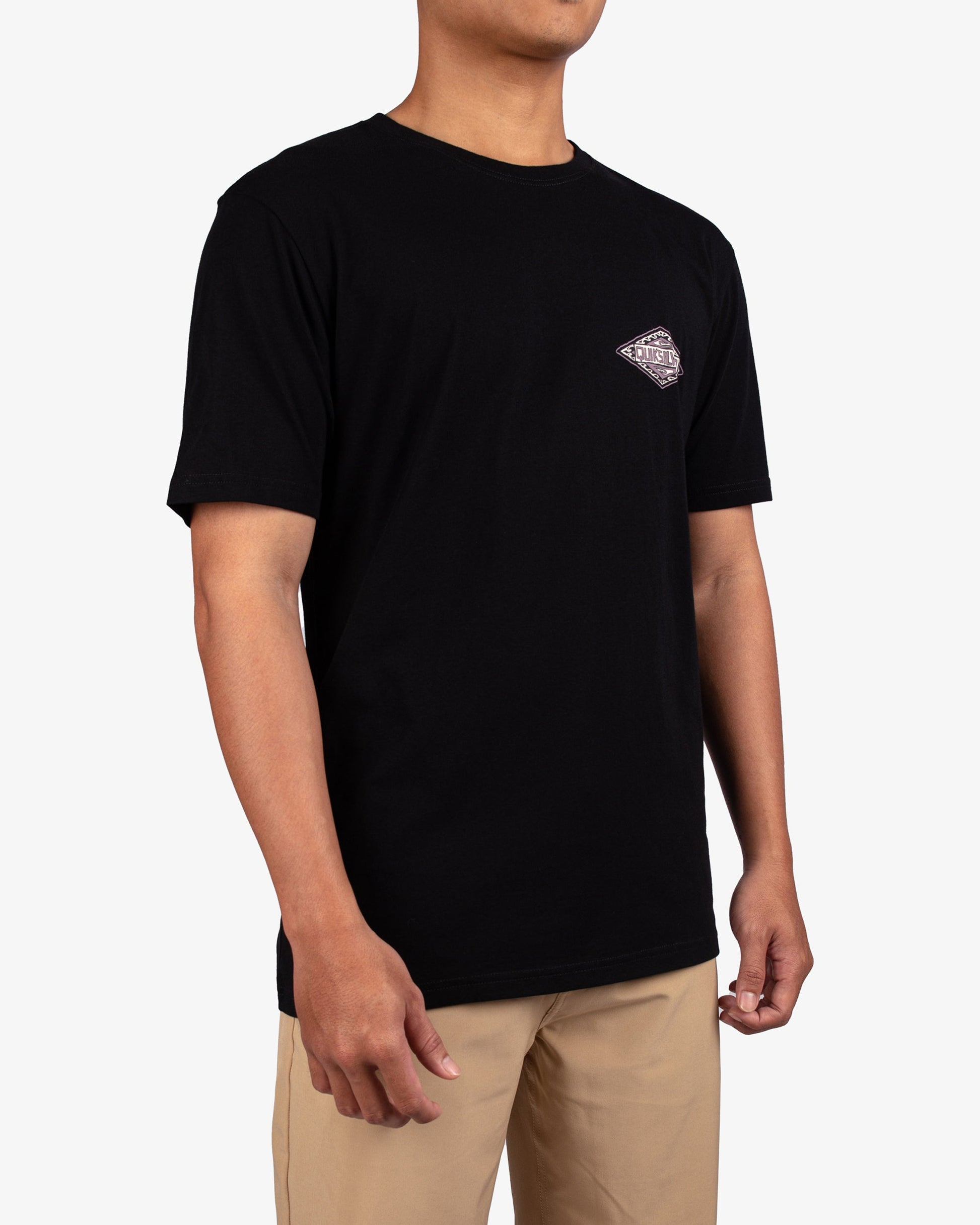 Mens Beyond The Waves T-Shirt - Quiksilver Singapore 