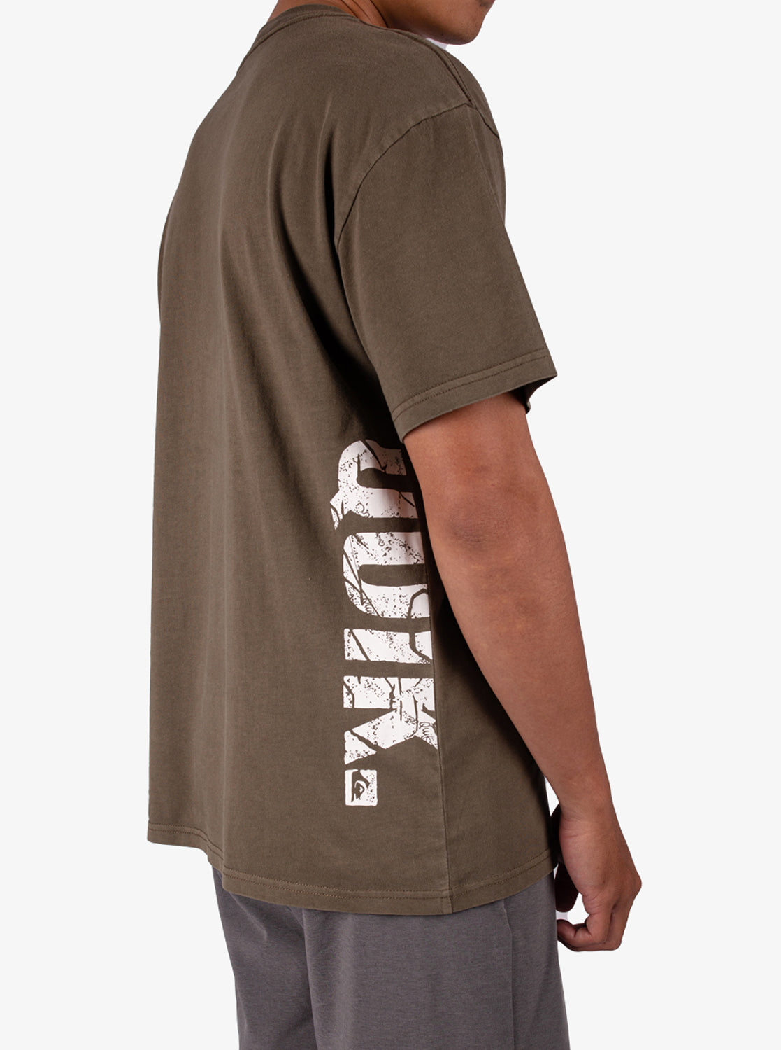 Mens Basement T-Shirt - Quiksilver Singapore 