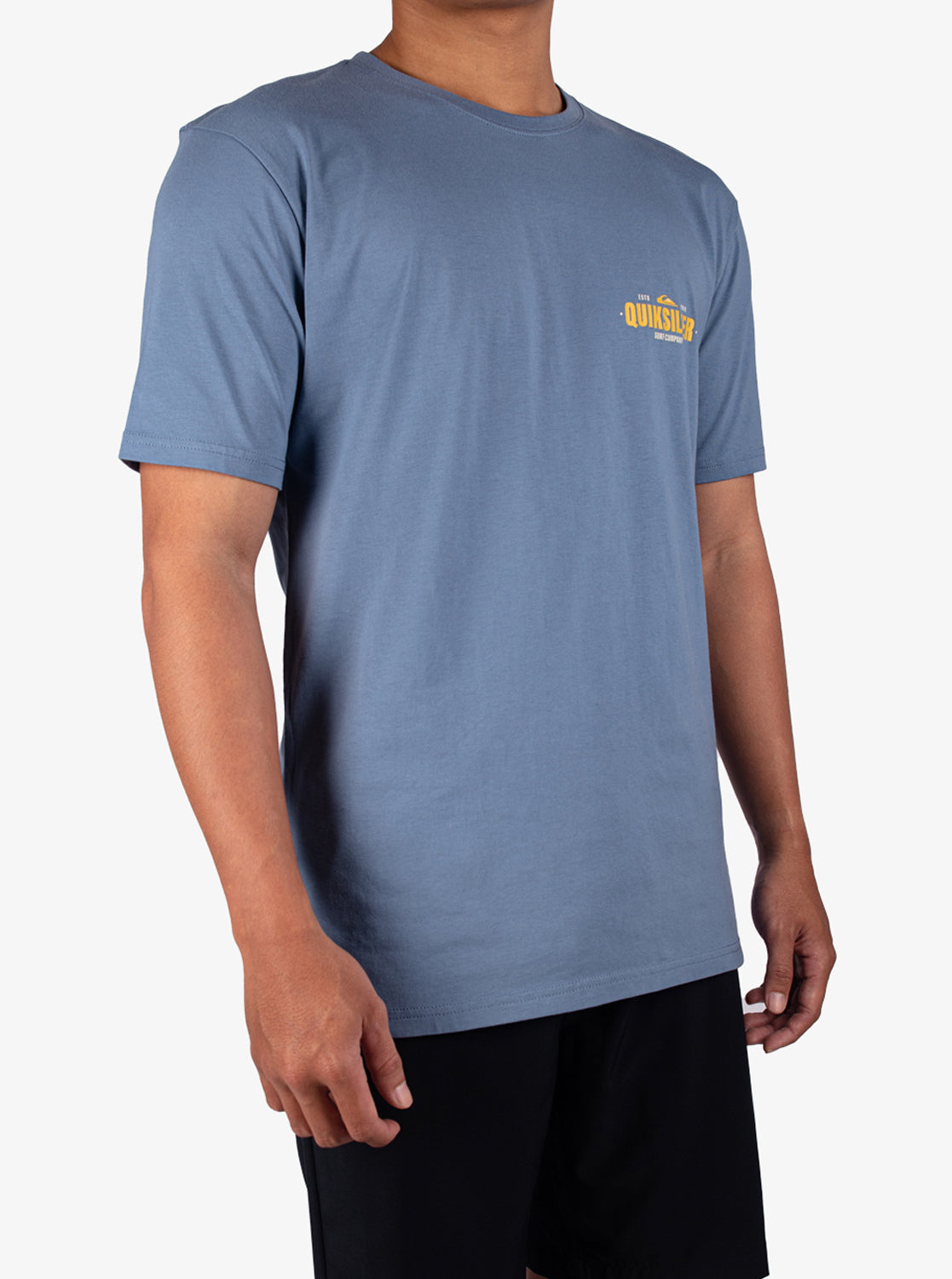 Mens Coastal Crest T-Shirt - Quiksilver Singapore 