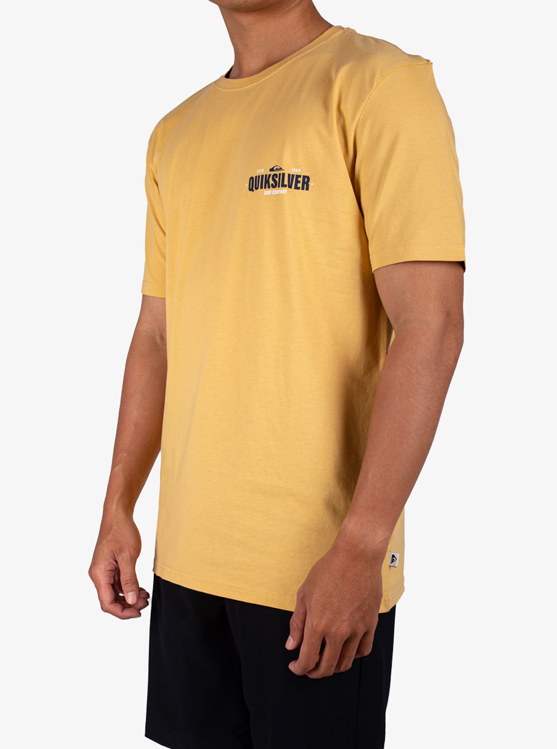 Mens Coastal Crest T-Shirt - Quiksilver Singapore 