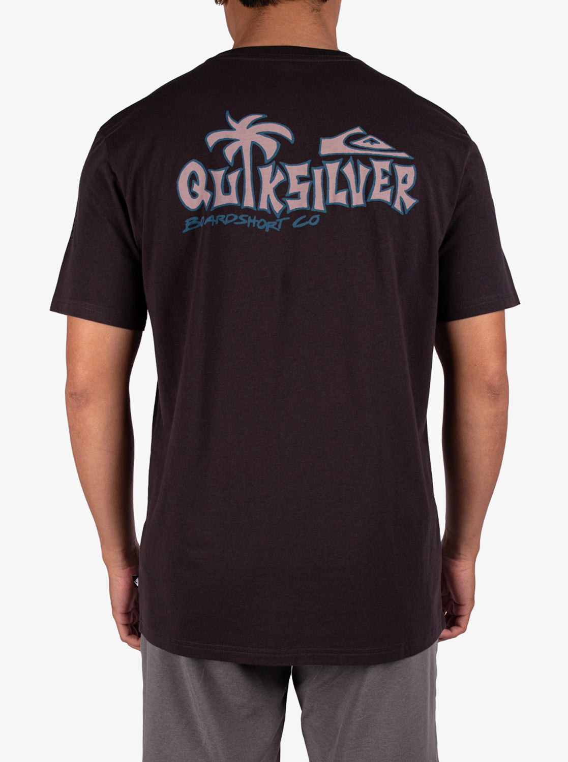 Mens Palm Relax T-Shirt - Quiksilver Singapore 