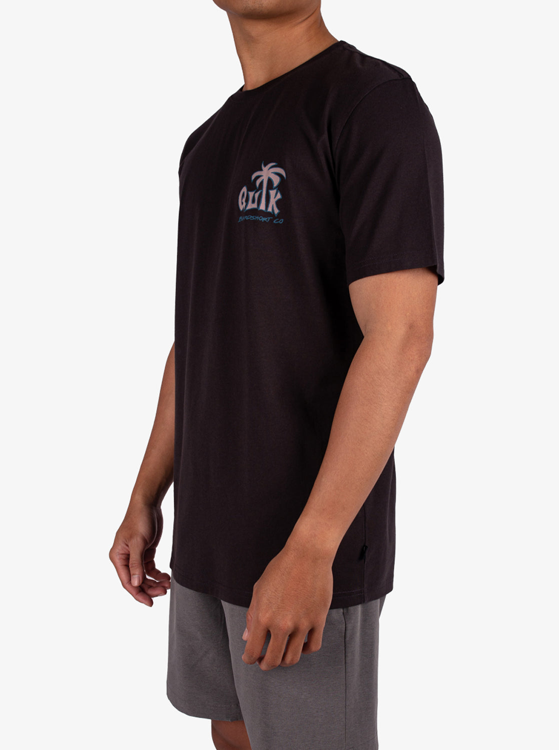 Mens Palm Relax T-Shirt - Quiksilver Singapore 