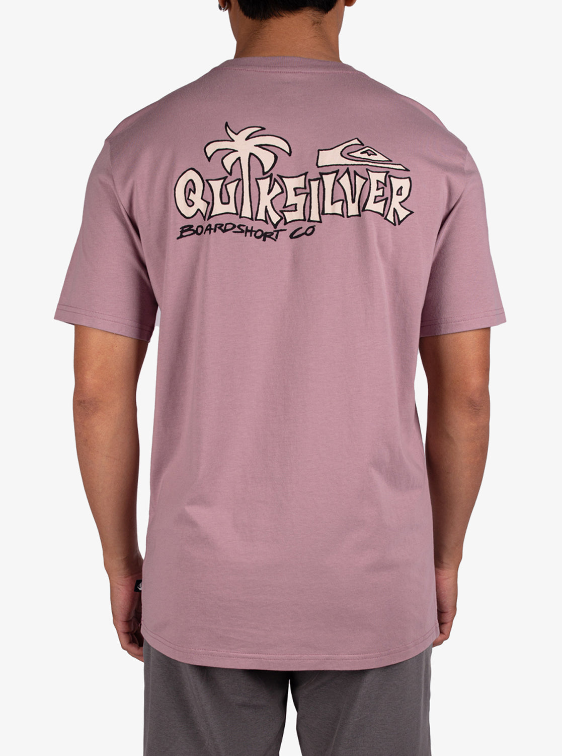 Mens Palm Relax T-Shirt - Quiksilver Singapore 