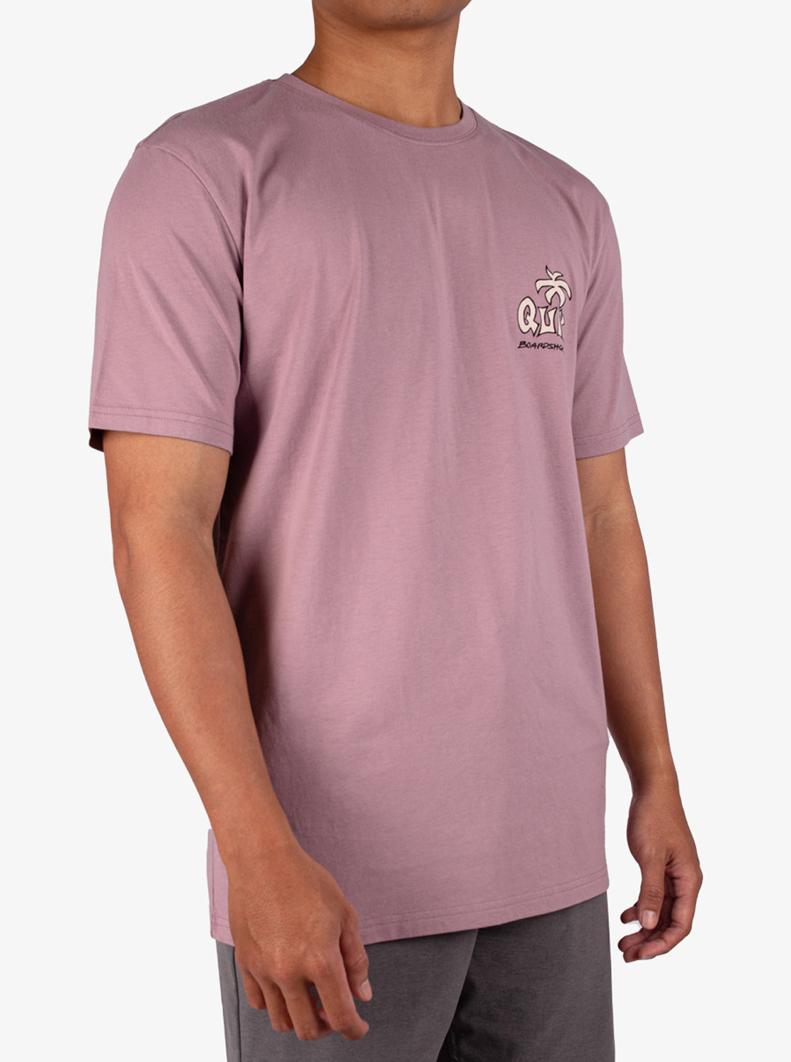 Mens Palm Relax T-Shirt - Quiksilver Singapore 