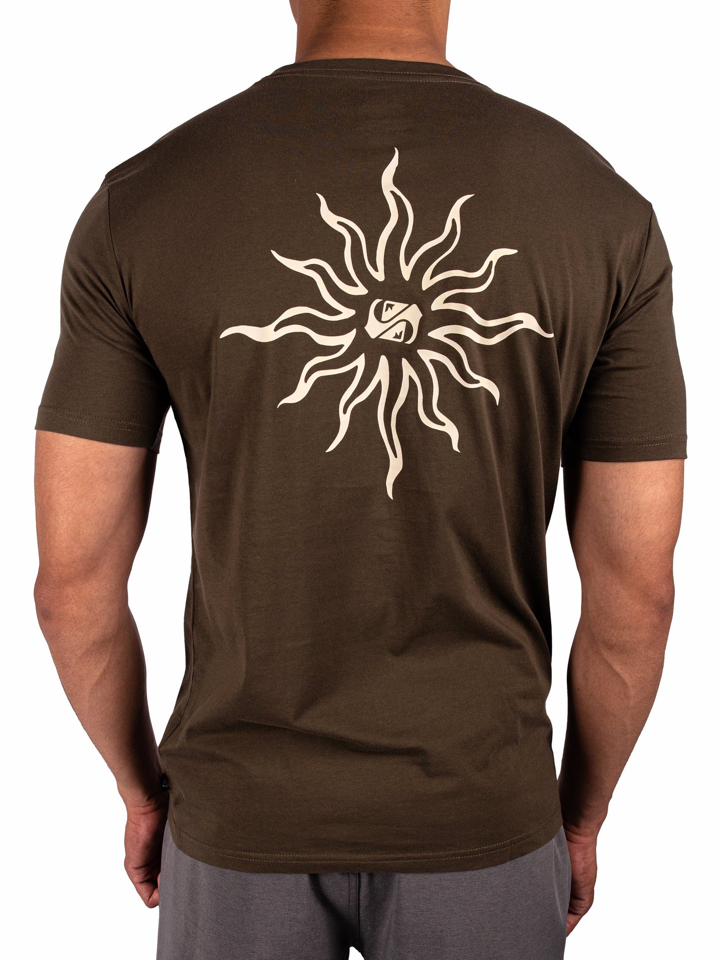Mens Static Sun T-Shirt - Quiksilver Singapore 