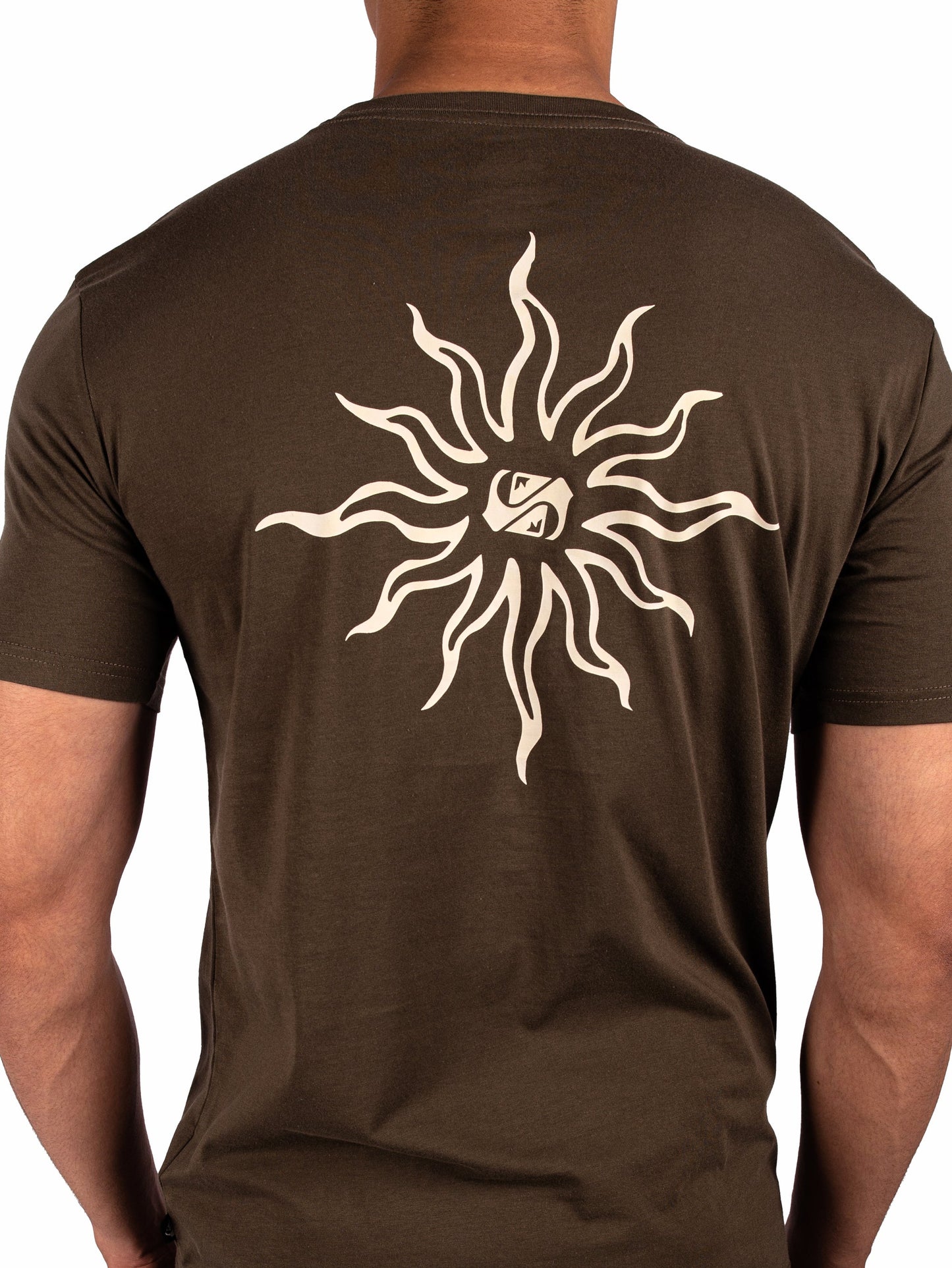 Mens Static Sun T-Shirt - Quiksilver Singapore 